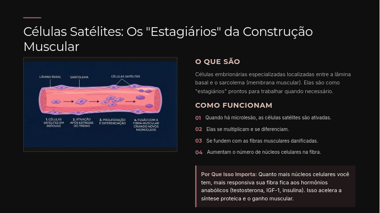 Screenshot 2026-04-05 17.17.33